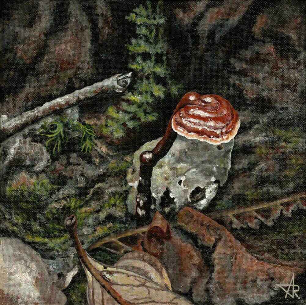Lingzhi (Ganoderma lingzhi) 2022. Canvas, acrylic. 20x20 cm